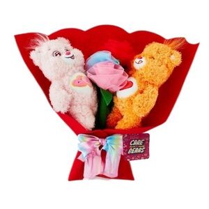 Care Bears Valentines Day Plush Bouquet